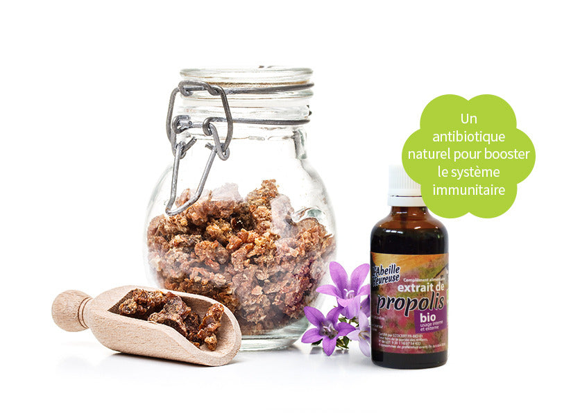7 bienfaits de la propolis sur la santé